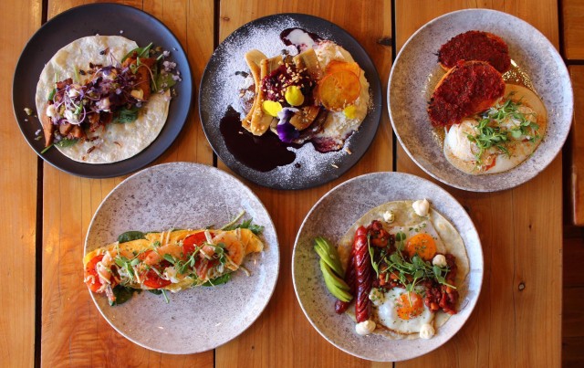 Greedy Cow Featured Image 2