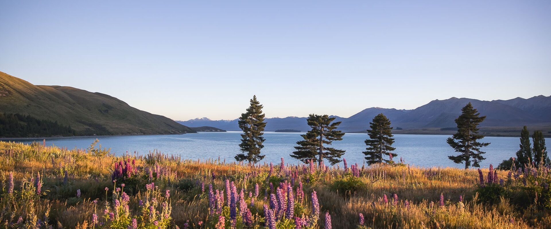 Lupins Tekapo Lakefront Accomodation